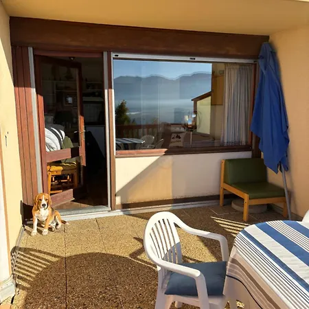 Le Cocon Du Canigou *